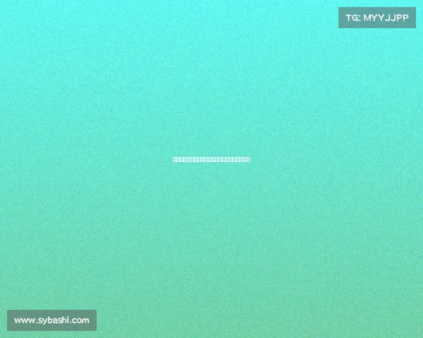 哈基米:从摩洛哥足球新星到国际舞台的闪耀之光